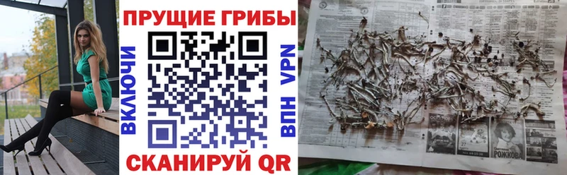Галлюциногенные грибы ЛСД  Узловая 